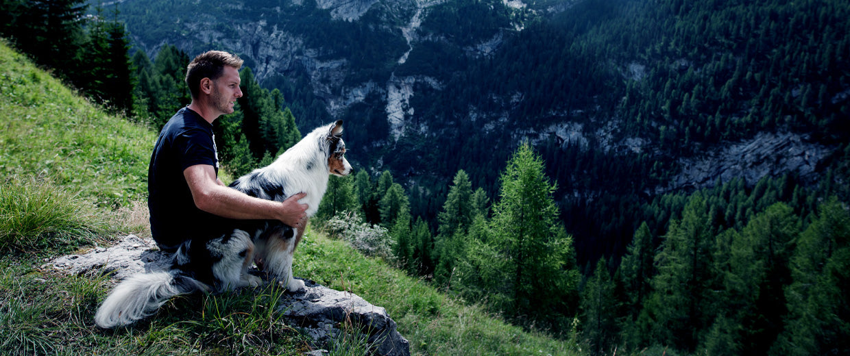 A man and a long-haired dog sitting on a rock, overlooking a dense forested mountain range.