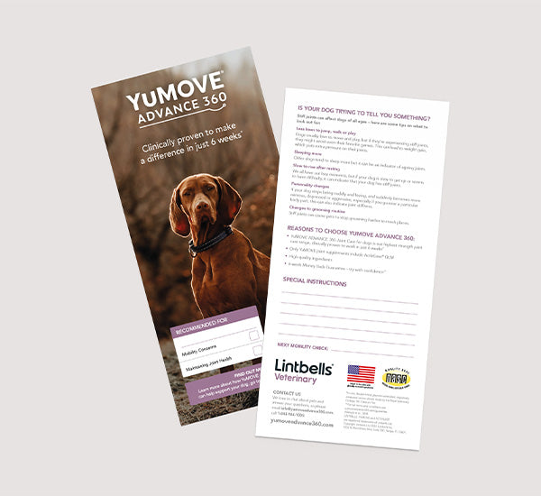 The image is a leaflet for YuMOVE ADVANCE 360 Joint Care for Dogs, a dog joint supplement. It features sections on product benefits, signs your dog may need joint support, and reasons to choose this product, along with special instructions for use. There is also an image of a brown dog on the cover.