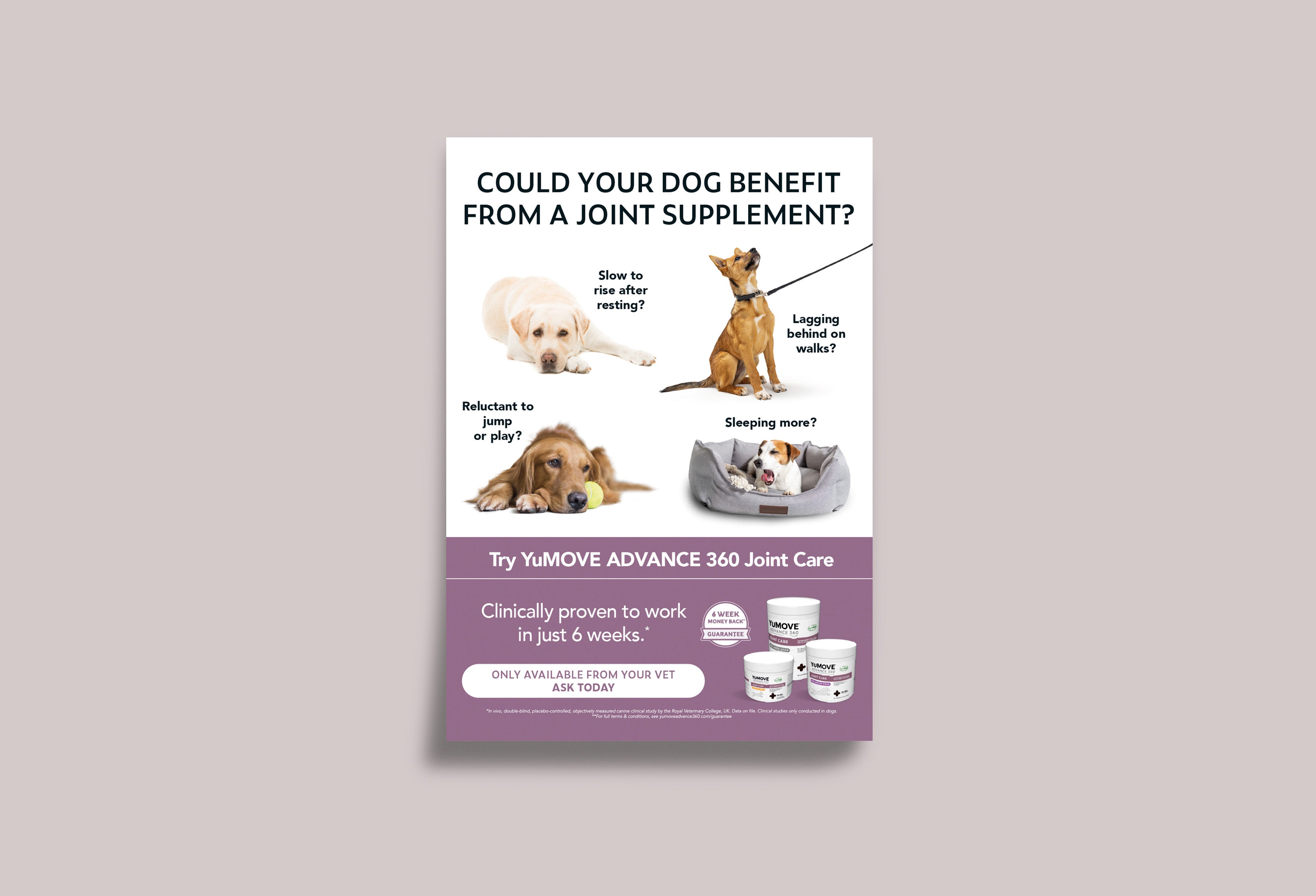 The image is a promotional poster for YuMOVE ADVANCE 360 Joint Care, asking if a dog could benefit from a joint supplement. It features questions related to a dog's mobility and activity, images of dogs exhibiting those behaviors, and a call to action to try the product, claiming it's clinically proven to work in just 6 weeks.* See Additional Information page for more information.