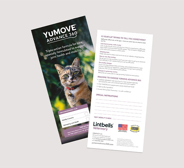The image is a leaflet for YuMOVE ADVANCE 360 Joint Care for Cats, a triple-action formula for cats, focusing on joint health and mobility. It includes sections on recognizing signs of joint discomfort in pets, reasons to choose this specific brand, and special instructions for use. There's also a photo of a cat on the cover.