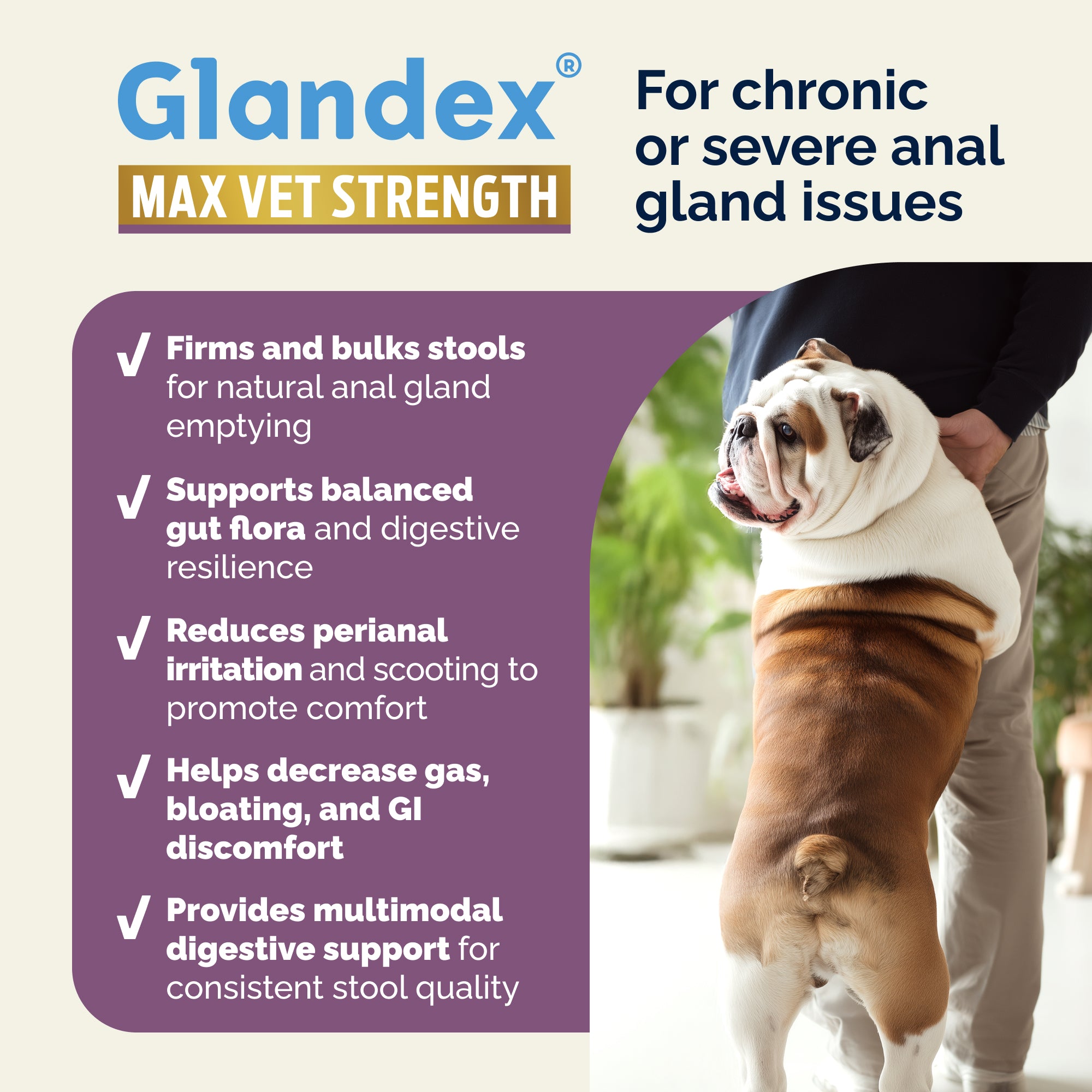 Glandex Max Vet Strength Anal Gland Health Chews