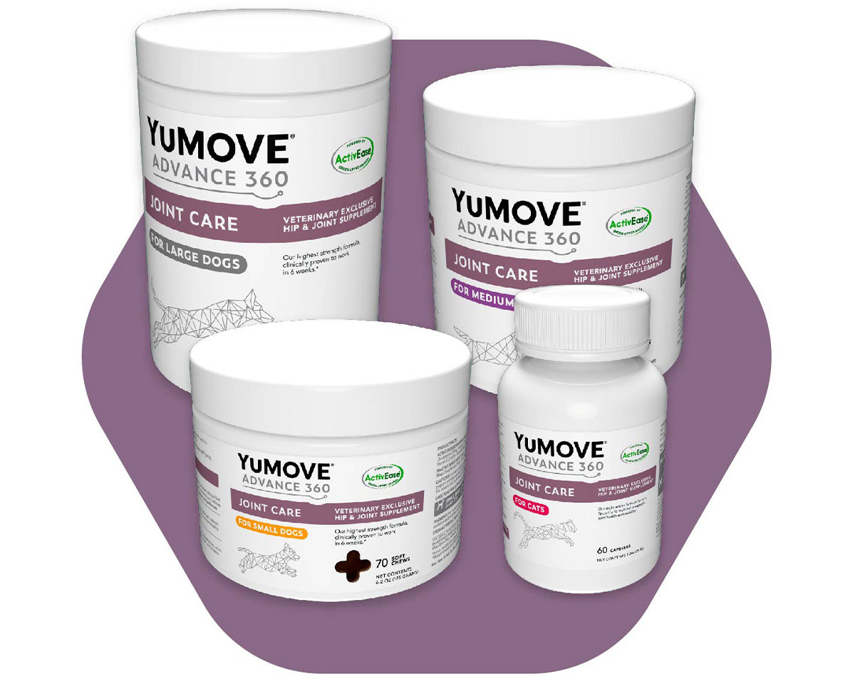 An array of YuMOVE ADVANCE 360 Joint Care products displayed on a purple backdrop. There are containers for small, medium and large dogs, and a bottle for cats, all labeled as joint supplements.