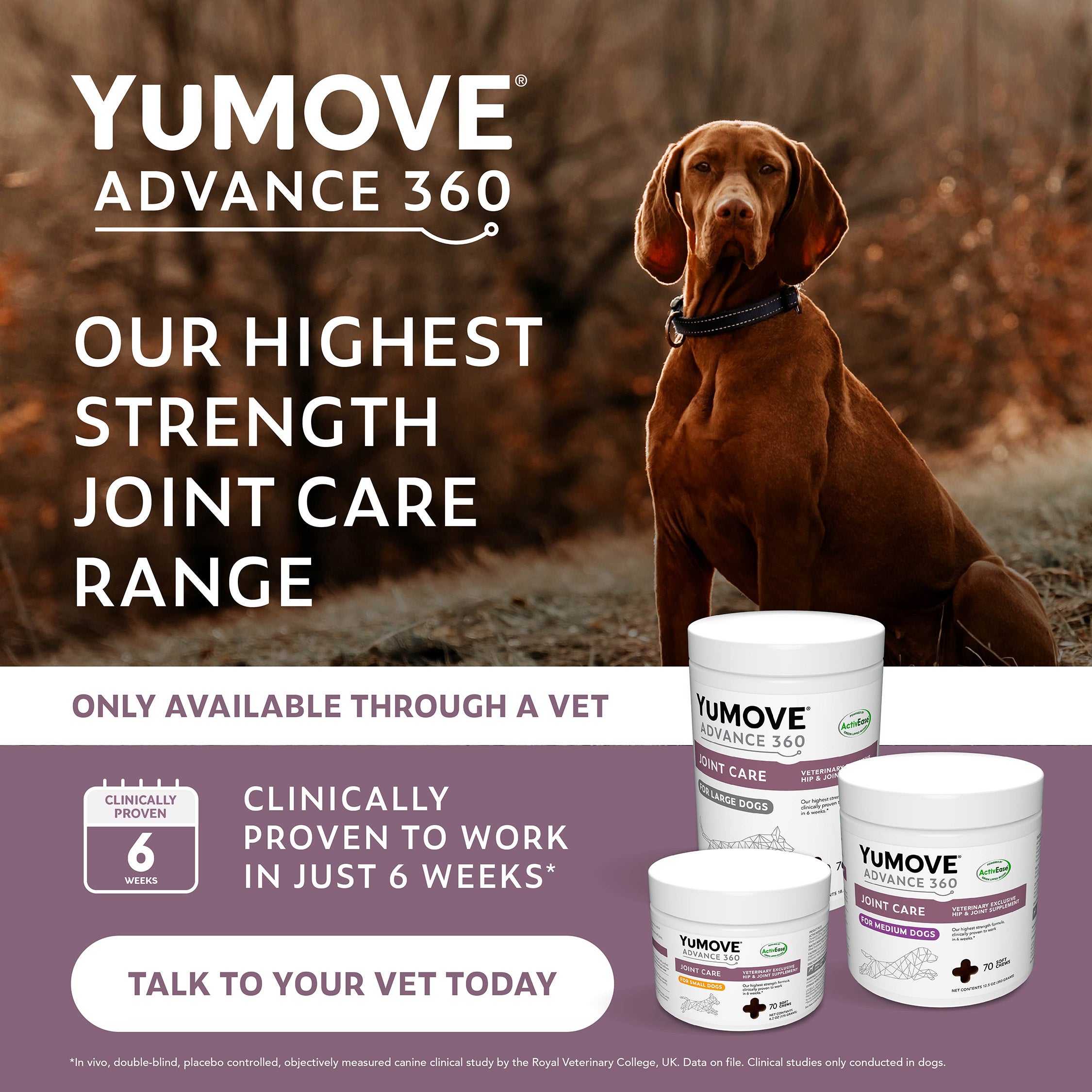 A header banner showing a brown dog sitting on frosty grass in late autumn or winter alongside three containers of YuMOVE ADVANCE 360 Joint Care for Dogs and a graphic stylized icon of a badge that says "CLINICALLY PROVEN 6 WEEKS*" and a white roundall that says "TALK TO YOUR VET TODAY". Text reads "OUR HIGHEST STRENGTH JOINT CARE RANGE" "ONLY AVAILABLE THROUGH A VET" and "CLINICALLY PROVEN TO WORK IN JUST 6 WEEKS*".