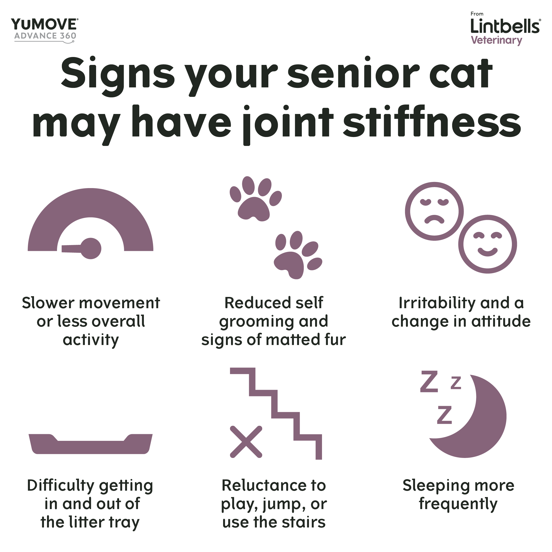 An infographic from Lintbells Veterinary lists indicators of joint stiffness in senior cats: Slower movement, reduced grooming, irritability, difficulty with the litter tray, reluctance to play or use stairs, and sleeping more frequently. Icons illustrate each sign.
